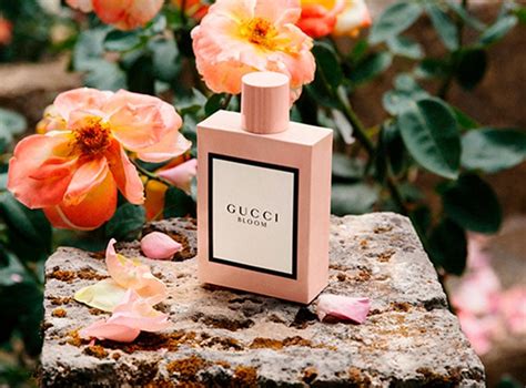 perfume gucci bloom mujer precio|gucci bloom cheapest.